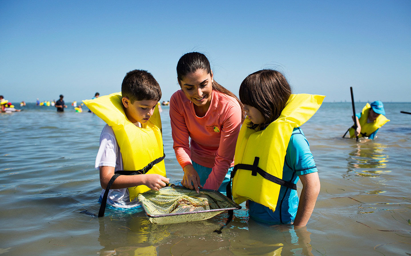Family Seagrass Adventure.jpg